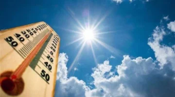 تحذير لمرضى الحساسية.. ارتفاع مفاجئ في درجات الحرارة ونشاط للرياح بكافة المحافظات